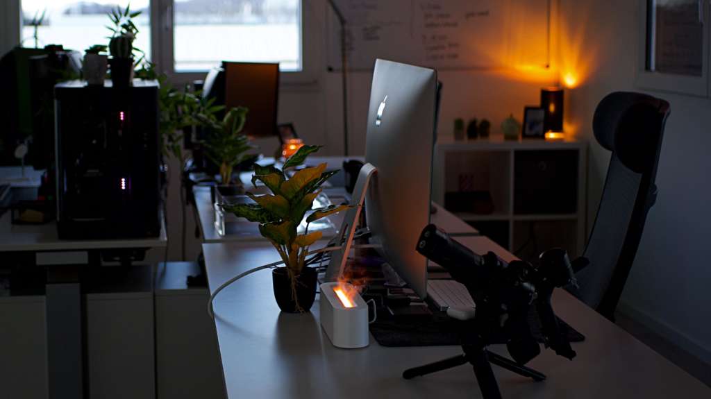 WhatsApp Image 2026-01-30 at 19.11.50